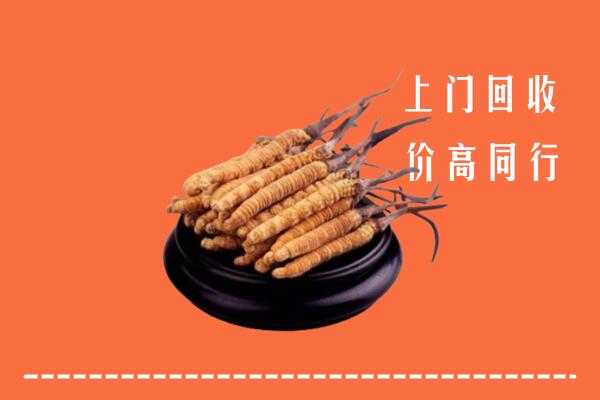 高价求购：松原市回收散虫草