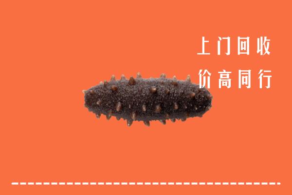 高价求购：松原市回收海参