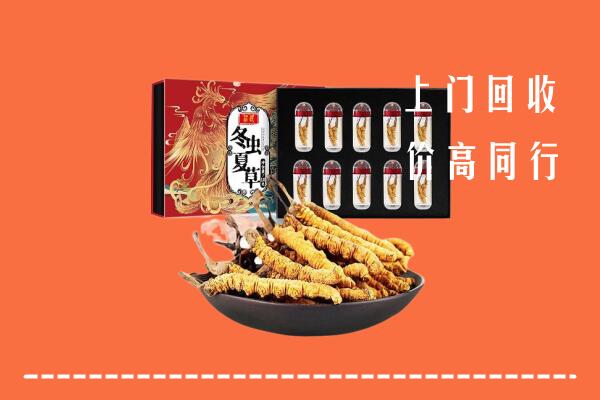 松原市回收虫草